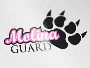 Ka-Design_graphiste-freelance-Dijon_charte-graphique-molina-guard