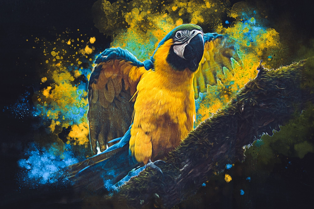 Photomontage d'un perroquet de race Ara sur une branche avec des tâches de peinture